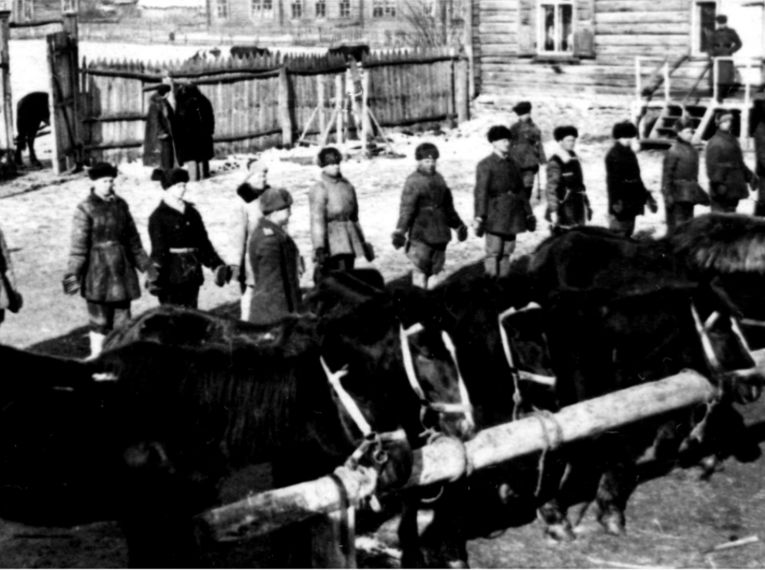 Станция Дема. Прием лошадей в 112-ю Башкирскую кавалерийскую дивизию, 1942 г.