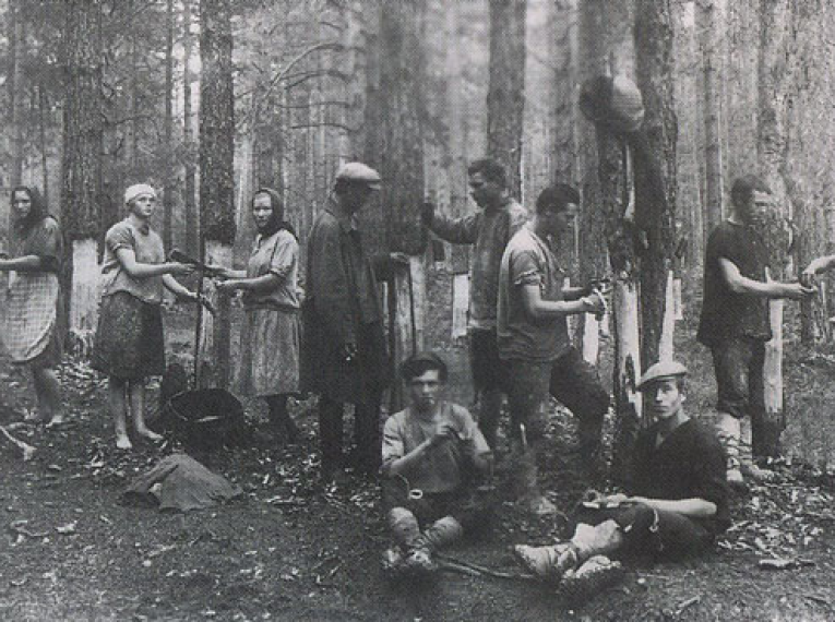 Работники артели «Лесной химик», с.Ногуши, 1940-е гг.