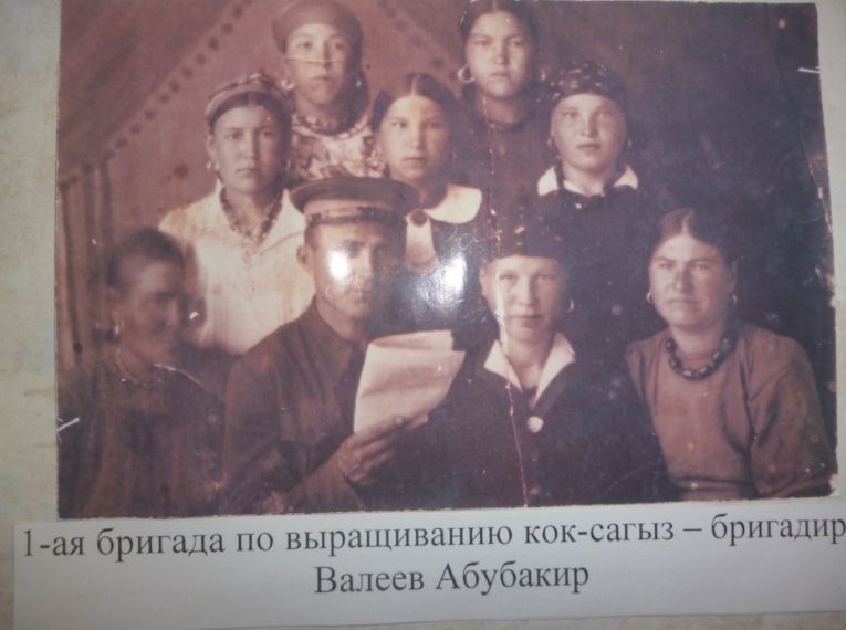 1-я бригада по выращиванию кок-сагыз, бригадир А. Валеев (1-й слева, 1 ряд), 1941-1945 гг.