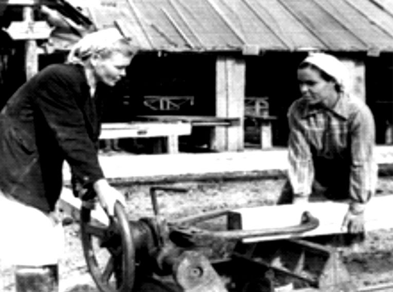 Заготовка стоевого бруса, 1940 г.