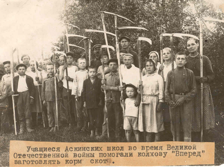 Учащиеся Аскинских школ помогают колхозу «Вперед» заготавливать сено,  с.Аскино, 1941-1945 гг.