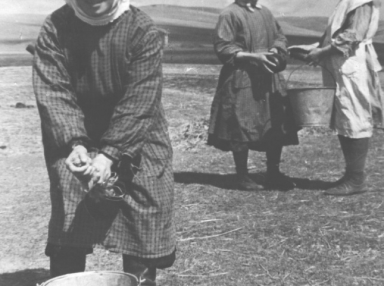 Женщины собирают колоски, 1940-е гг.