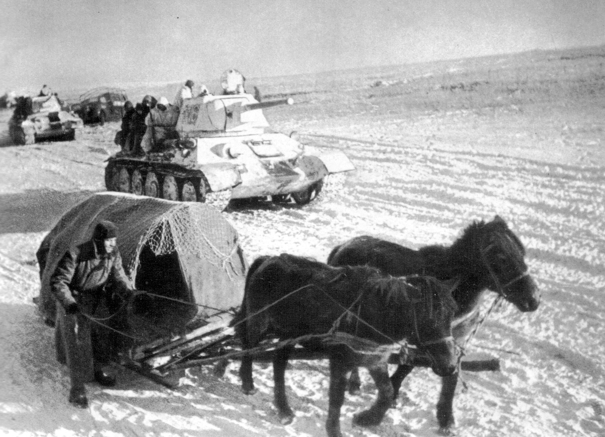 Зимой 1941 заполярная кавалерия какой фронт. Лошади в Великой Отечественной войне 1941-1945. Сталинградская битва зимой 1942 года. Гужевой транспорт РККА В ВОВ 1941-1945 гг.