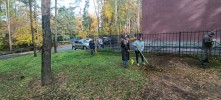 Санитарная пятница