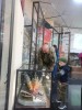 9 Мая в музее