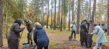 Санитарная пятница