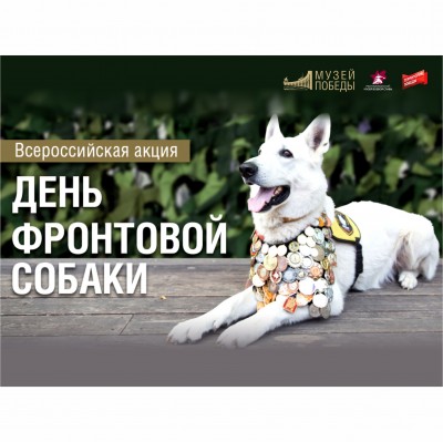 «День фронтовой собаки»