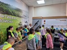 Правила безопасности в летний период