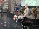 День фронтовой собаки