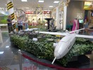 Всероссийская акция «Ночь музеев»