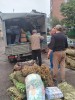 Теперь не вожу гуманитарку, а получаю