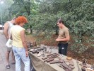 Выставки на Кавказе