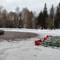 «Журавлиный клин» в Парке Победы