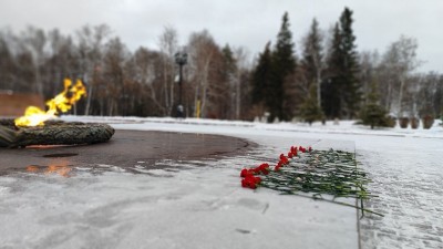 «Журавлиный клин» в Парке Победы