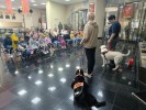 День фронтовой собаки