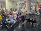 День фронтовой собаки