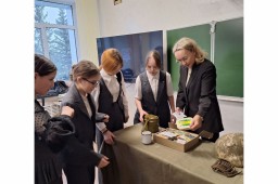 Музейный рейд