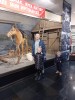 Акция "День отца в музее"