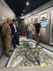 Выставка сбитых дронов